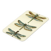 Dragonfly Collection von Chariklia Zarris Magnet (Linke Seite)