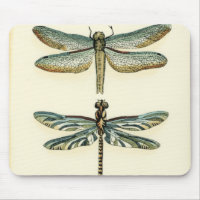 Dragonfly Collection von Chariklia Zarris