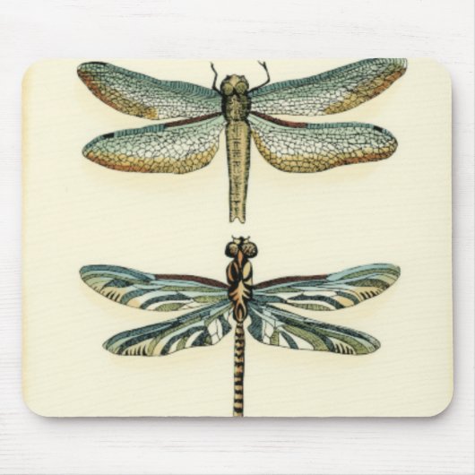 Dragonfly Collection von Chariklia Zarris Mousepad (Vorne)