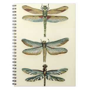 Dragonfly Collection von Chariklia Zarris Notizblock