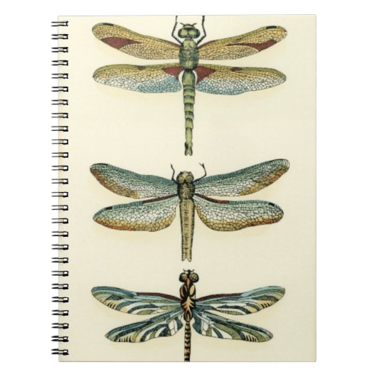 Dragonfly Collection von Chariklia Zarris Notizblock (Vorderseite)