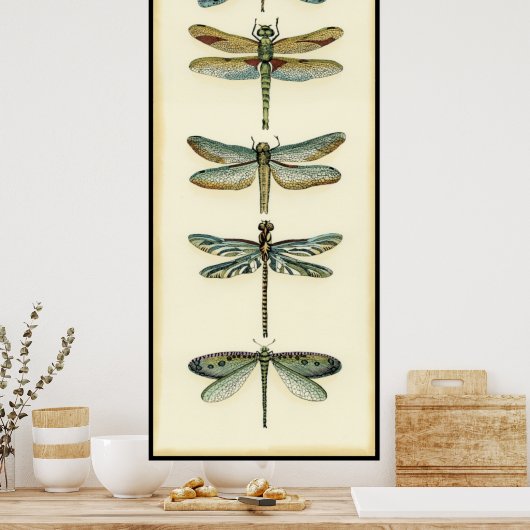 Dragonfly Collection von Chariklia Zarris Poster (Küche)