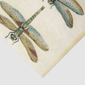 Dragonfly Collection von Chariklia Zarris Seidenpapier (Ausschnitt)