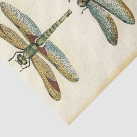 Dragonfly Collection von Chariklia Zarris Seidenpapier (Ausschnitt)