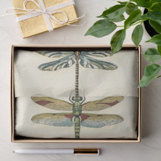 Dragonfly Collection von Chariklia Zarris Seidenpapier (Geschenk)