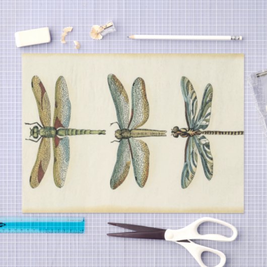 Dragonfly Collection von Chariklia Zarris Seidenpapier (Handwerk)
