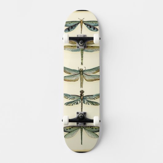 Dragonfly Collection von Chariklia Zarris Skateboard (Vorderseite)