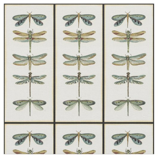 Dragonfly Collection von Chariklia Zarris Stoff (Nahaufnahme)