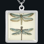Dragonfly Collection von Chariklia Zarris Versilberte Kette<br><div class="desc">Eine Libelle-Sammlung,  die jeden seltsamen Naturfeffer würdig ist,  ein atemberaubendes Stück von Chariklia Zarris. Lege es an deine Wand oder gib es als Geschenk!</div>