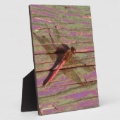 Dragonfly Colorful Plaque Fotoplatte (Seite)