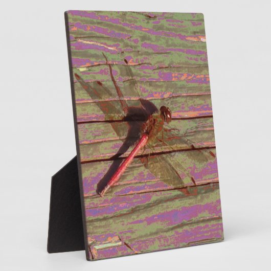 Dragonfly Colorful Plaque Fotoplatte (Seite)