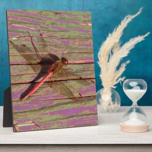 Dragonfly Colorful Plaque Fotoplatte (Seite)
