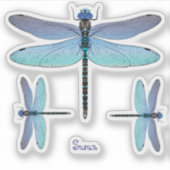 Dragonfly Contour Vinyl Sticker Labels (Vorderseite)