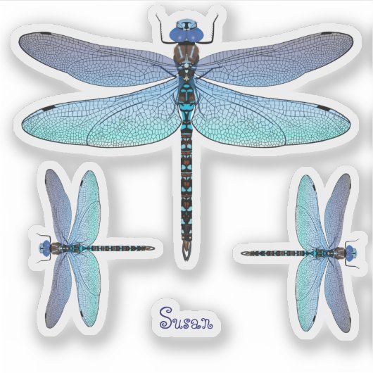 Dragonfly Contour Vinyl Sticker Labels (Vorderseite)