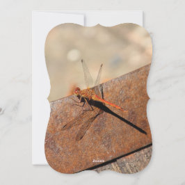 Dragonfly-Design mit Braun Feiertagskarte