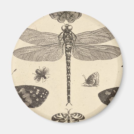 Dragonfly ( Detail) Vintage Kunst Magnet (Vorne)
