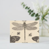 Dragonfly ( Detail) Vintage Kunst Postkarte (Stehend Vorderseite)