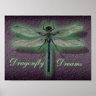 Dragonfly Dreams Poster