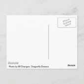 Dragonfly Dreams Postkarte (Rückseite)