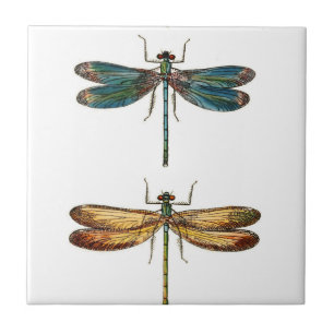 Dragonfly Duo Keramik Fliese