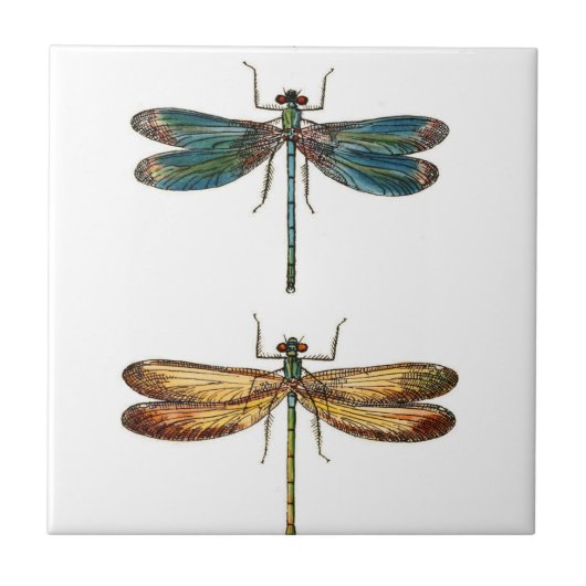 Dragonfly Duo Keramik Fliese (Vorderseite)