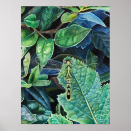Dragonfly-Erinnerungen Poster