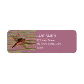 Dragonfly farbenfroh (Vorne)