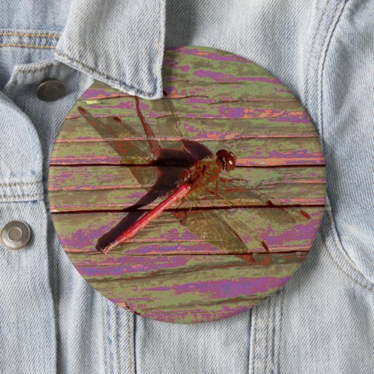 Dragonfly farbenfroh button (Beispiel)