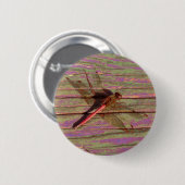 Dragonfly farbenfroh button (Vorne & Hinten)