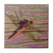 Dragonfly farbenfroh fliese (Vorderseite)