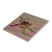 Dragonfly farbenfroh fliese (Seite)