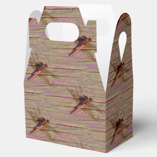 Dragonfly farbenfroh geschenkschachtel (Geöffnet)
