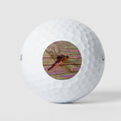 Dragonfly farbenfroh golfball (Vorderseite)