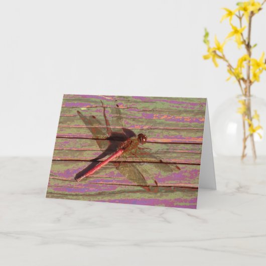 Dragonfly farbenfroh karte (Gelbe Blume)