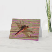 Dragonfly farbenfroh karte (Vorderseite)