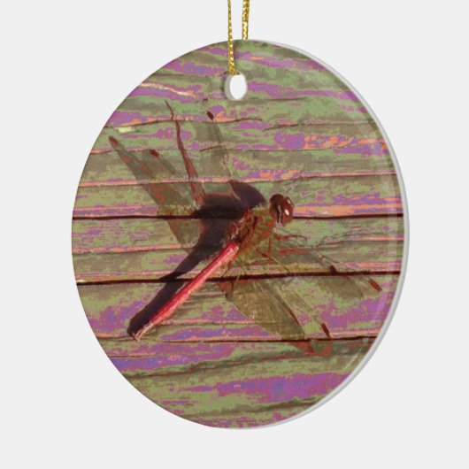 Dragonfly farbenfroh keramik ornament (Links)