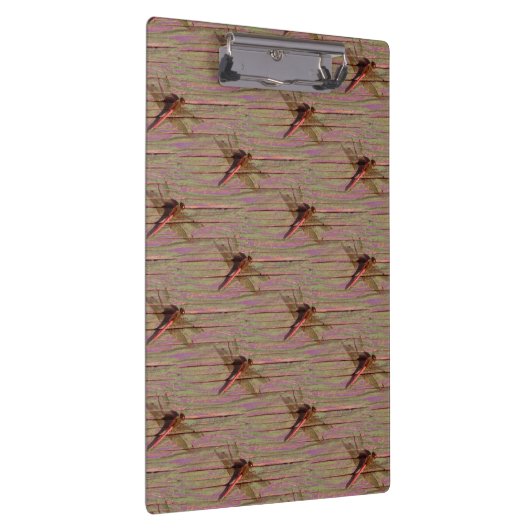 Dragonfly farbenfroh klemmbrett (Rechts)