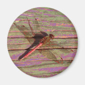 Dragonfly farbenfroh magnet (Vorne)