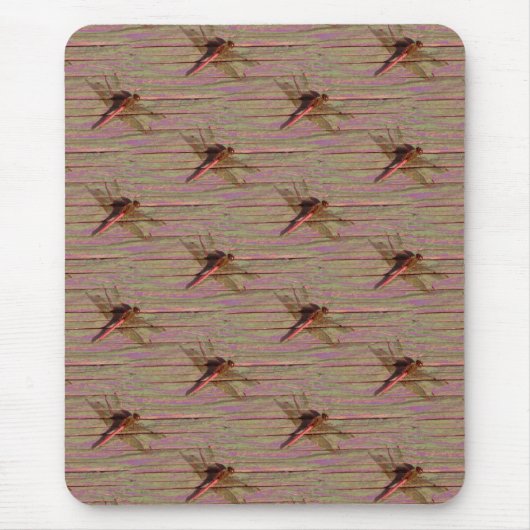 Dragonfly farbenfroh mousepad (Vorne)