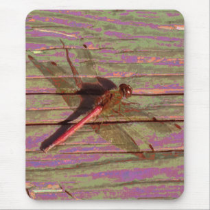 Dragonfly farbenfroh mousepad