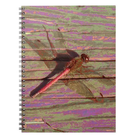 Dragonfly farbenfroh notizblock (Vorderseite)