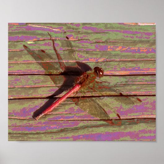 Dragonfly farbenfroh poster (Vorne)