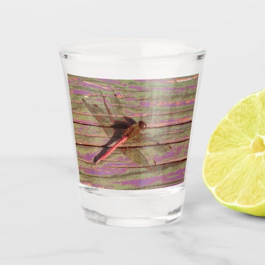 Dragonfly farbenfroh schnapsglas (Vorderseite)