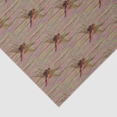 Dragonfly farbenfroh seidenpapier (Ausschnitt)