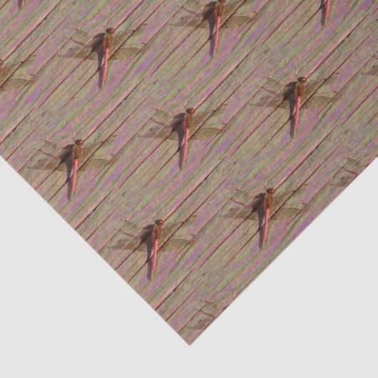 Dragonfly farbenfroh seidenpapier (Ausschnitt)