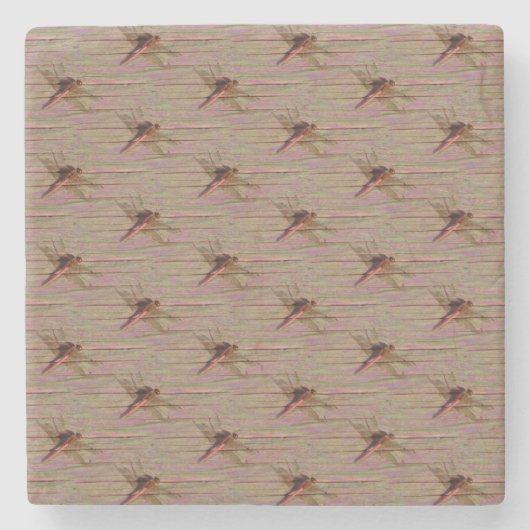 Dragonfly farbenfroh steinuntersetzer (Vorderseite)