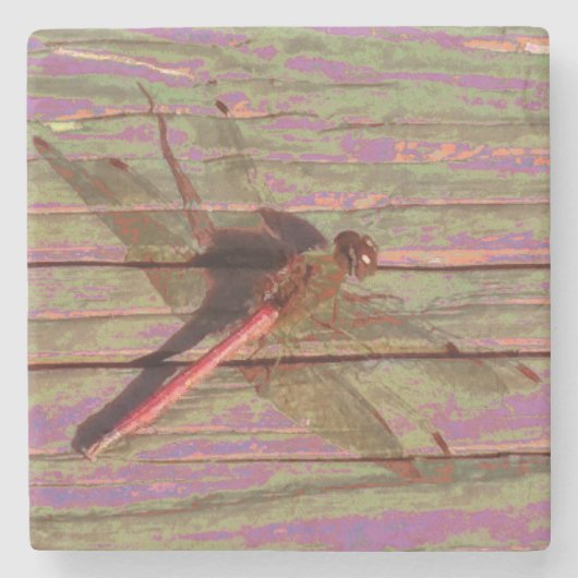 Dragonfly farbenfroh steinuntersetzer (Vorderseite)