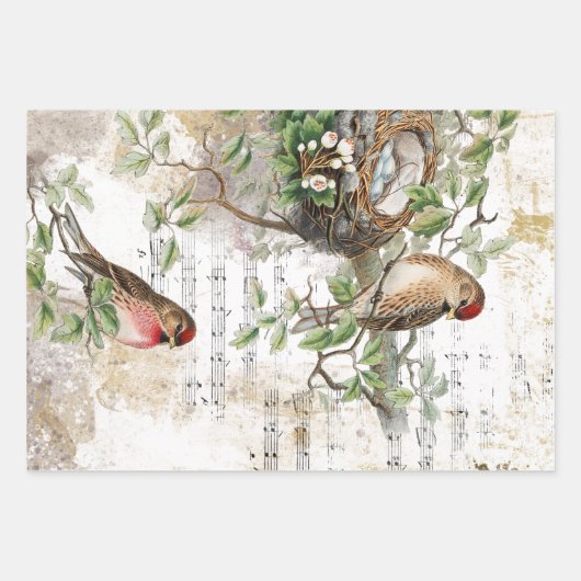 Dragonfly Fern Butterfly Bird Music Gold Decoute Geschenkpapier Set (Vorderseite 2)