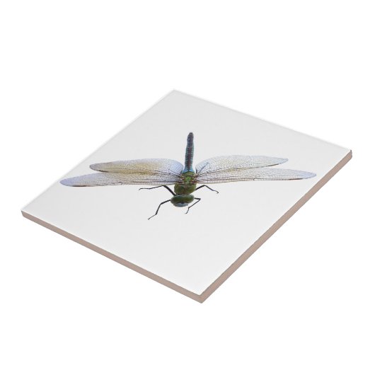 Dragonfly Fliese (Seite)
