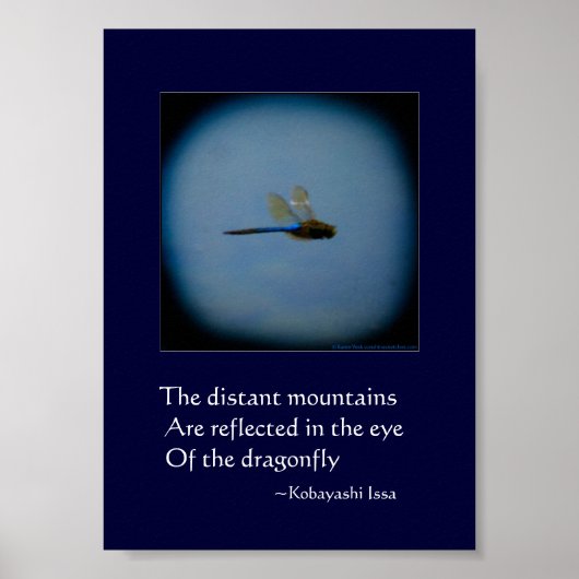 Dragonfly-Foto mit haiku-Druckplakat Poster (Vorne)